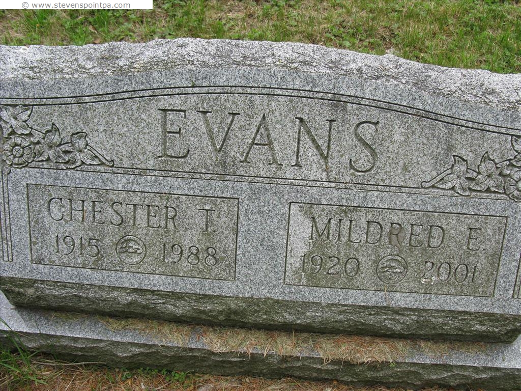 Lanesboro Cemetery Section 2